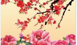 中国的国花是什么,探寻中国国花的魅力与象征意义