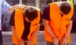 好吊淫视频,一场视觉与心理的双重冲击